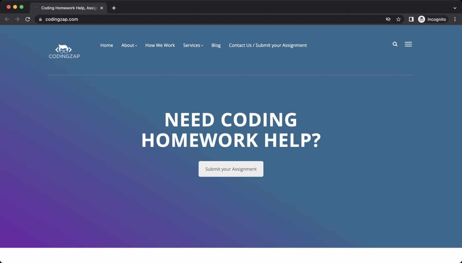 10 Best Programming Assignment Help Websites For Students - AssignmentXp